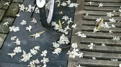 ⑅♪ ‿ ׁ bnd Discord server banner