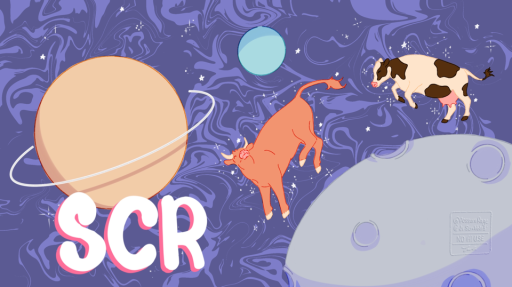 𝐒𝐩𝐚𝐜𝐞 𝐂𝐨𝐰𝐛𝐨𝐲𝐬 𝐑𝐚𝐧𝐜𝐡 Discord server banner