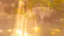 serene sanctuary 18+ server banner