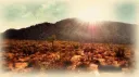 𝙕𝙤𝙣𝙚 6 server banner