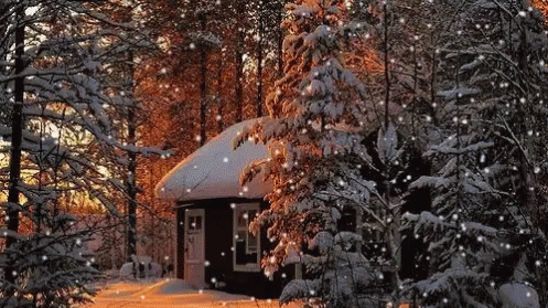 🌼𝚂𝚙𝚛𝚒𝚗𝚐 𝚅𝚒𝚋𝚎𝚜🌼 Discord server banner