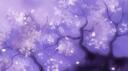  Cozy Lounge  Banner