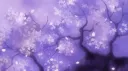 ♡ Cozy Lounge ♡ banner