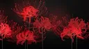 RED VIRTUE  𝄈  DESPAIRS FLAME  ₊ banner