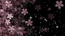 Comunidade da Sofia ೀ banner