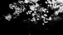 ೀ   oblivion , , banner