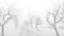 ノ faults banner