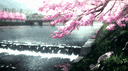 🏯 PFP / Anime 🏯 banner