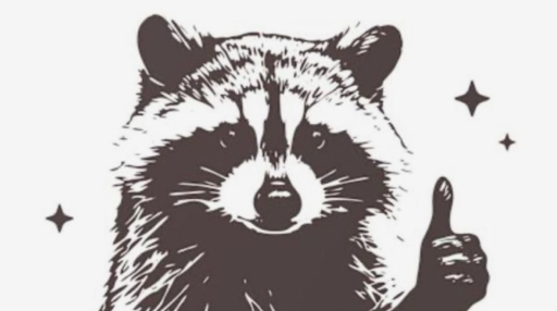Grunge Raccoon Cult Discord server banner