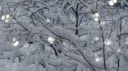 ⊹ 𝘓𝘰𝘷𝘦𝘳'𝘴 𝘓𝘰𝘰𝘱 ♩ CLOSED Discord server banner