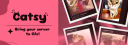 Catsy banner