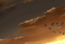 Petalverse server banner