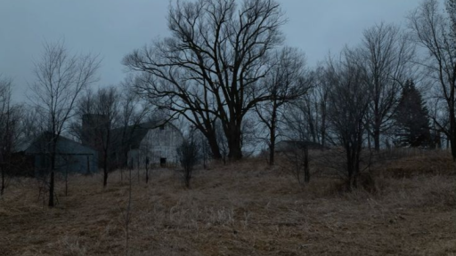 into the woods ! Discord server banner