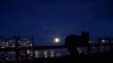 ✧𝑪𝑶𝒁𝒀 𝑪𝑶𝑹𝑵𝑬𝑹✧ server banner