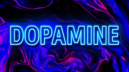 S-DOPAMINE Discord server banner