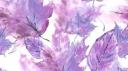 PurpleTulips~ Banner