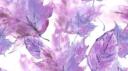 PurpleTulips~ Banner