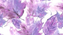 PurpleTulips~ Discord server banner