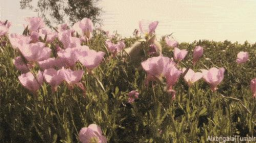 /Mariglow icon , social & giveaways server banner