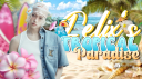 🏝 FELIX'S TROPICAL PARADISE Discord server banner