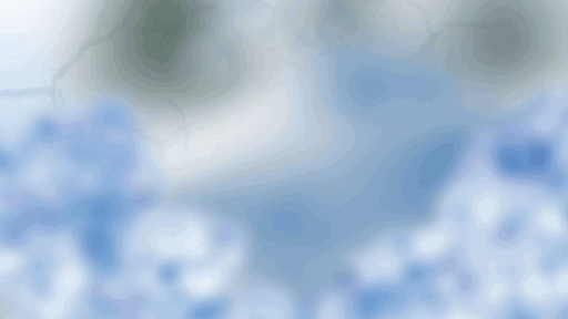 SnowShop Discord server banner