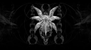 Androgen // OHLC server banner