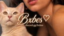 𑣲Bxbes™ Banner