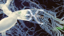 Torus Discord server banner