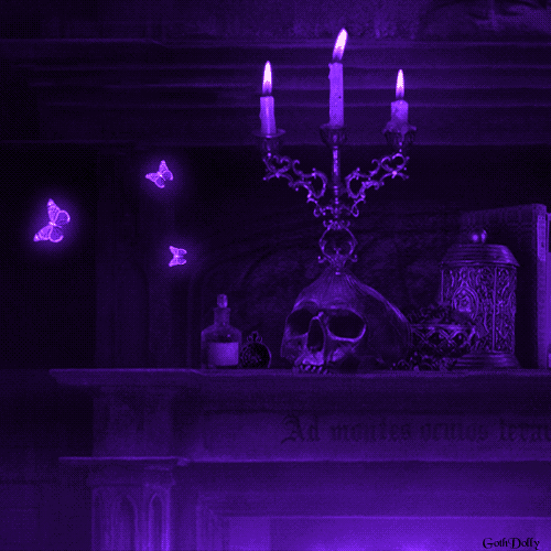 𝐁𝐱𝐧𝐧𝐢'𝐬 𝐇𝐚𝐯𝐞𝐧 Discord server banner