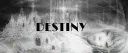 Destiny banner
