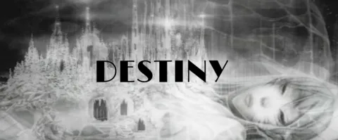 Destiny banner