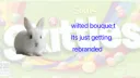 🌸 WB cores emoji server banner