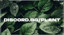 Steal A Brainrot┃Trading & Giveaways Discord server banner