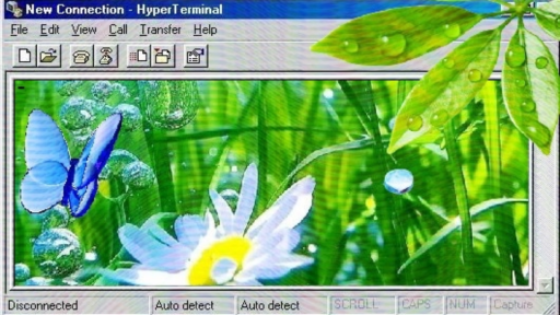 ✶ ` THE PROMISED FUTURE 🌐 : * Discord server banner