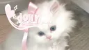 ✚ ͝ །　　 ◟　　/ fyshi　   ౨ৎ      .      gwys      .      hangout      .      multifndm   !! banner