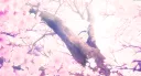 🌸 Ask To DM ✧˚ . Art & Commissions ・ ACTIVE・ VC ・ Giveaways ・ Social ・ Friends・ Sfw ・ ask2dm banner