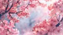 🌸Luxury Store🌸 banner