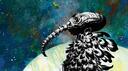 The Dreaming 21+ Banner
