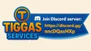 Tiggas services banner