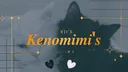₊˚ʚ ᗢ Kit's Kenomimi's ﾟ.꩜ .ᐟ server banner