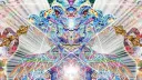 DMT🐐 banner