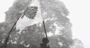 House Stark banner