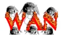 Wojowniczy Artyści Nocki banner