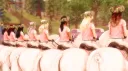 Meadow Hooves OS banner