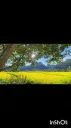 𓍯Tasfia™𓂃♡ Discord server banner