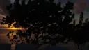 「 🌊﹒𝐏𝐀𝐑𝐀𝐃𝐈𝐒𝐄 𝐈𝐒𝐋𝐀𝐍𝐃 」 server banner