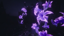 ⌢ nightshades garden. ⚘ Discord server banner