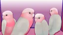 BLOODMONEY+ H . E . P (15+) Discord server banner