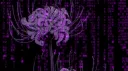 ⁺‧₊˚ ཐི⋆ 𝐸𝓁𝓎𝓈𝒾𝒶𝓃 𝒩𝑒𝓍𝓊𝓈 ⋆ཋྀ ˚₊‧⁺ Discord server banner