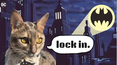 ꜱᴜᴍᴍᴏɴᴇʀ Discord server banner